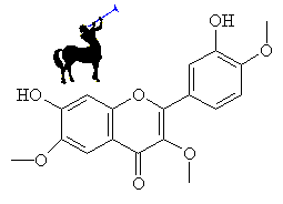 Centaureidin