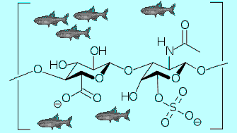 Chondroitin sulfate structure