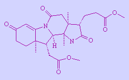 Corrnersterone