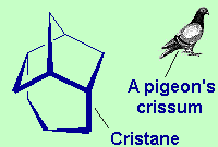 Cristane