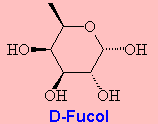 D-Fucol