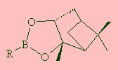 a typical boronated Diched molecule