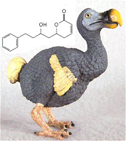 A dodo and dodoneine