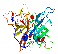 draculin