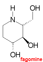 Let me introduce to a fagomine...