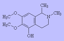 Gigantine