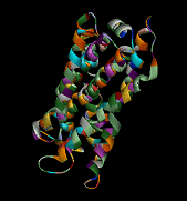 A G(olf) protein