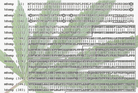 HEMP - with part of the structure of the Hemp protein overlaid.