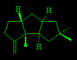 Hirsutene