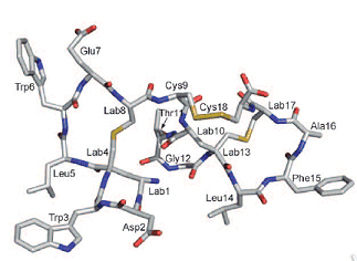 Labyrinthopeptin