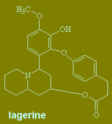 Lagerine