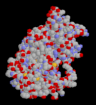 Map kinase etc etc...