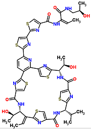 You put your micrococcin, your micrococcout, in, out, in, out, shake it all about...