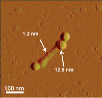 NanoPaNTs - what a nanopution might wear?