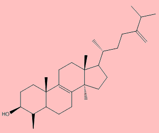 obtusifoliol