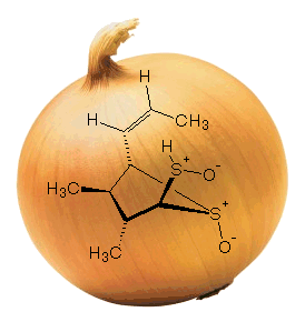 Onionin