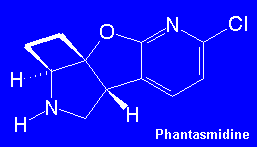 Phantasmidine - click for a phantasmagorical 3D structure
