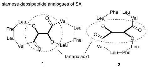 Siamese twin molecules