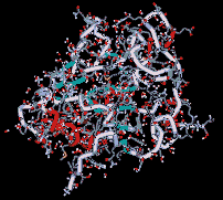 Sonic the molecule