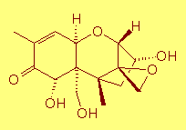 Vomitoxin structure
