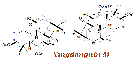 xingdongnin M