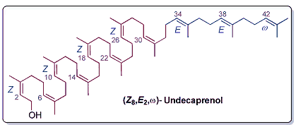 Z8E2w-undecaprenol