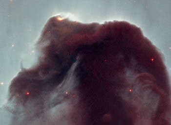 The Horse Head nebula, taken from HST
