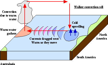 The Walker cell (5k)