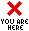 Icon (1003bytes)