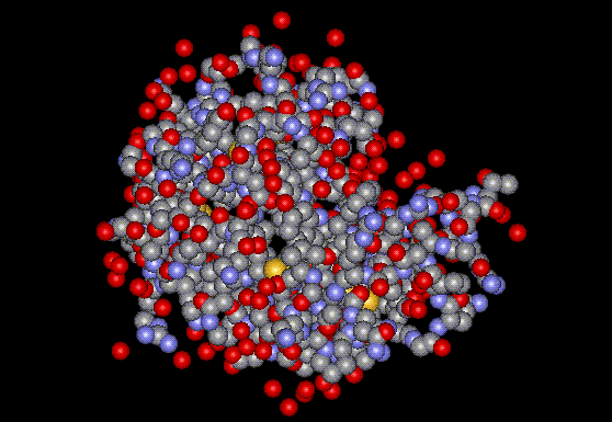 Lysozyme