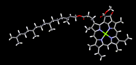 Chlorophyll-a