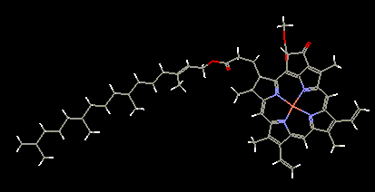 Copper substituted chlorophyll