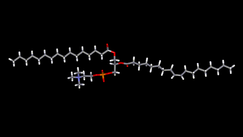 palmitoyloleoylphophatidylcholine