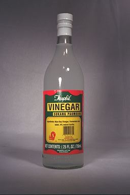 vinegar