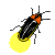 Firefly