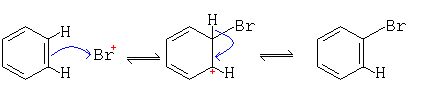 Halogenation Mechanism