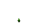 bloomig_rose_e0.gif (11382 bytes)