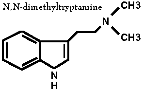 dmt_2d_wht.gif (1791 bytes)