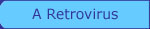 Retrovirus