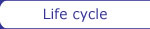 Life cycle