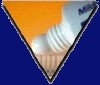Toothpaste shows thixotropic properties. This image was copied from www.mineralswa.asn.au/~cmesand/page8.html without permission