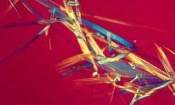 Vitamin E Crystals