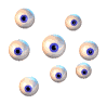 whteyes_w