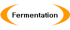 Fermentation