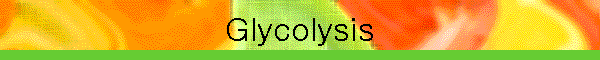 Glycolysis