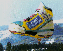Shoe
