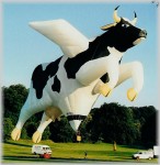 Cow