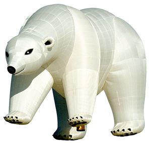 Polar bear