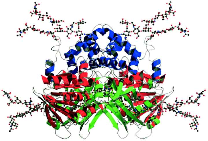 x-ray crystall of Laaco