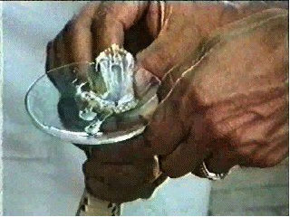 snake venom being milked